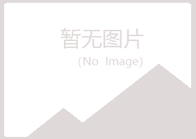 浙江女孩能源有限公司